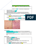 HLA B27 Causing Neutrophil Proliferation Causing S.Corneum Rupture (Bleeding Spots)