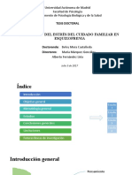 El Proceso Del Estrés Del Cuidado Familiar en Esquizofrenia