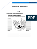 SEM 4 TALLER 10° TRATADOS PARA CUIDAR EL MEDIO AMBIENTE