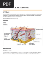 Anatomia