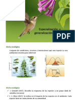 Especialización Vs Generalización