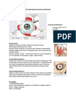 UE8: Physiologie Des Muscles Oculomoteurs