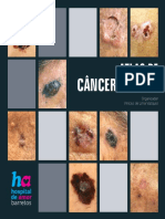 Atlas de Cancer de Pele - Compressed