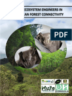 Bats As Ecosystem Engineers in Sub-Andean Forest Connectivity