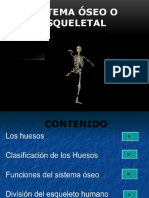 Sistema Oseo o Esqueletal - 1