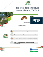 Los retos de la caficultura hondureña ante el COVID-19