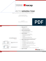 Proyecto Final Minera TGM