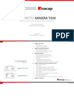 Minera TGM: Análisis de proyecto minero