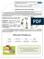 27.5 Plantas e Alimentos Como Fonte de Energia