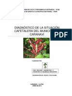 Diagnóstico de La Producción de Café en Caranavi
