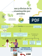 Causas y Efectos de La Contaminación Por Petróleo