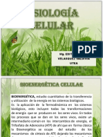 Fisiología Celular: Mg. Edith Duklida Velasquez Valdivia Utea