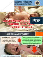 Adaptacion Del RN A La Vida Extrauterina 2020-II