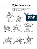 Shaolin Baiyuan Tanglangquan Diagram