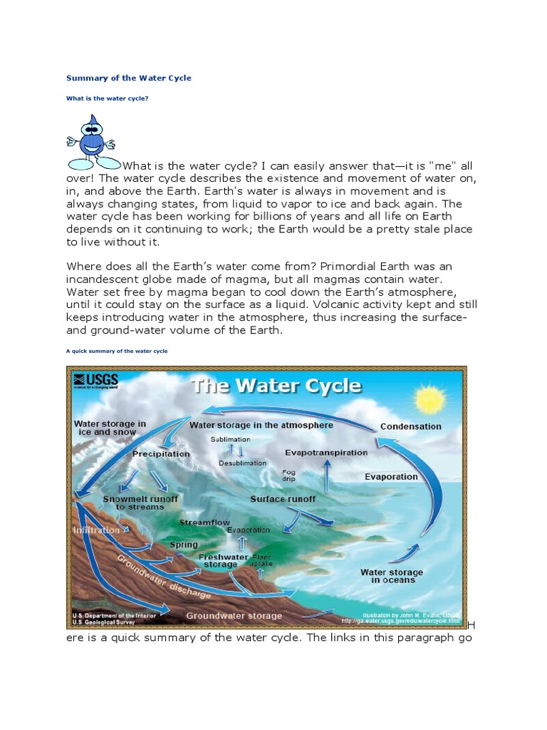 Summary of The Water Cycle PDF
