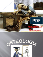 Clase 01 Osteología