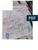 Desglose Implicaciones Neuromatemáticas