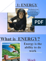 Unit 1: ENERGY: Stop Monkey-N-ing Around and Go Green Already! P.S. I'm Mookie The Monkey