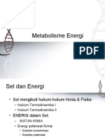Metabolisme Energi