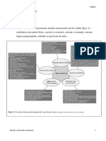 Bazele Sistemelor Automate Curs 