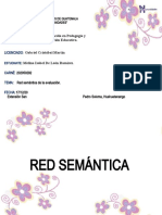 Red Semántica Evaluación