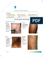 Fundamentals Of Dermatology Prof Wahab