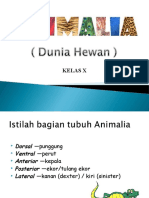 ANIMALIA