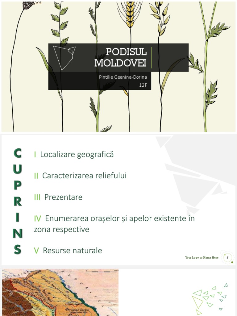 Podisul Moldovei | PDF