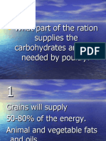 What Part of The Ration Supplies The Carbohydrates and Fats Needed by Poultry?