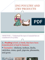 Exploring Poultry and Poultry Products