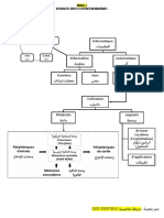 Carte Conceptuelle M1