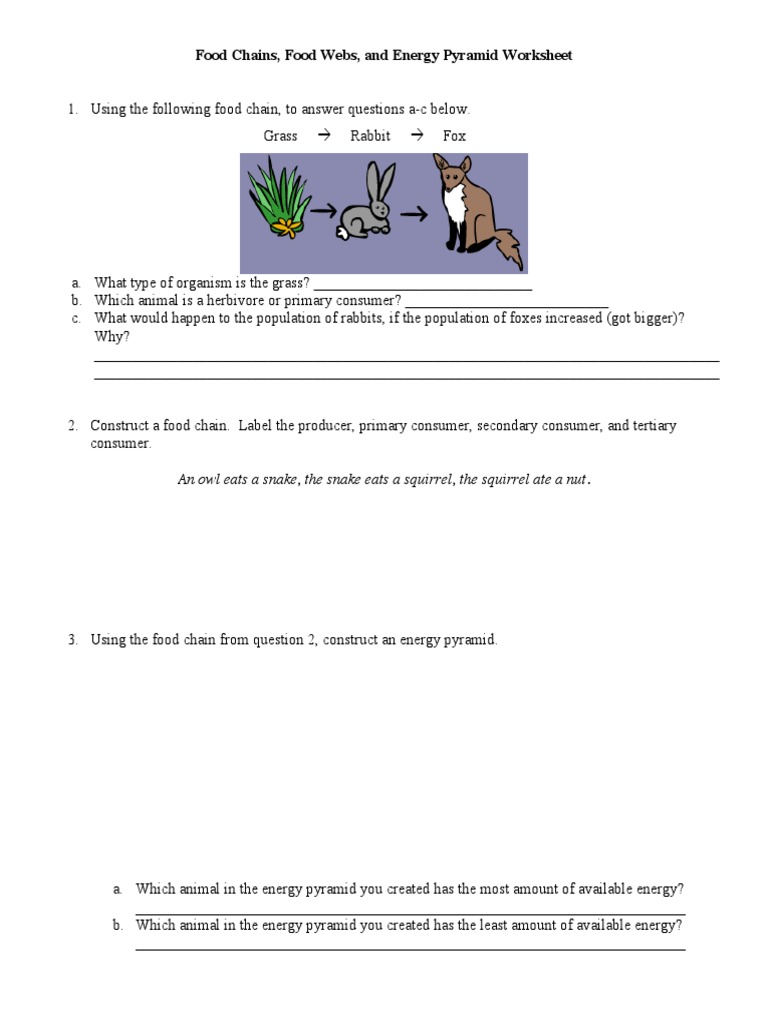 food-chains-food-webs-and-energy-pyramid-worksheet-pdf-food-web-herbivore
