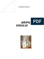 ARIPILE VISULUI