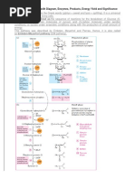 Glycolysis Process