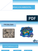 Contaminacion Ambiental