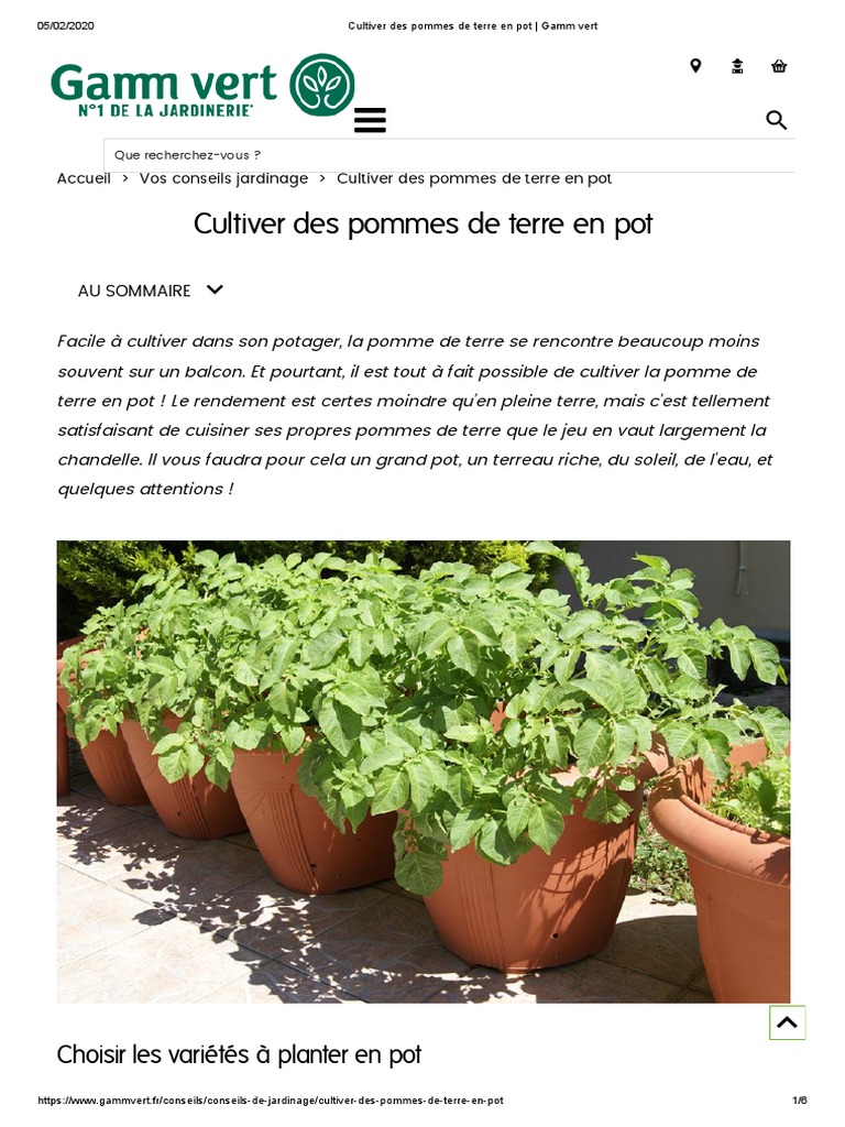 Cultiver Des Pommes de Terre en Pot Gamm Vert PDF Pomme de terre — free download