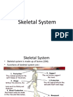 Skeletal206BonesClassification