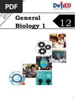 Module 12 Cam - C4 Photosynthesis