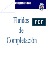 02_Fluidos_de_Completacion