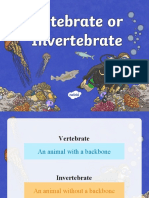 Vertebrate or Invertebrate Quiz