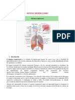 Tema 3 Sistema Respiratorio