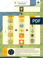 Fluxogramas de Progressão Ramo Lobinho