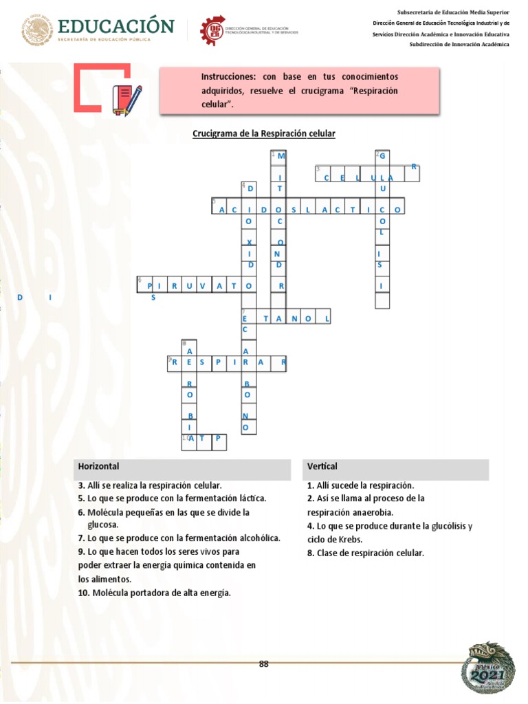 Jaime Toto Moto - Crucigrama | PDF | Respiración celular | Fermentación