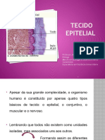 Epithelial tissue functions and types