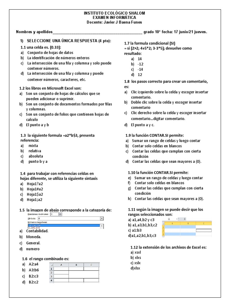 Examen Grado 10 | PDF | Microsoft Excel | Software