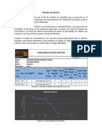 Informe Prueba de Rebote