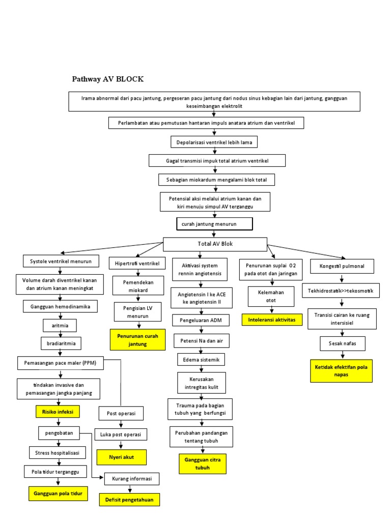 Tatalaksana dan Pathway AV Block | PDF