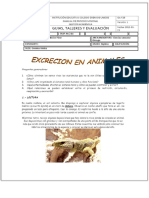 GUIAS, TALLERES Y EVALUACIÓN - PDF Descargar Libre