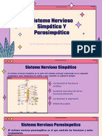 Sistema Nervioso Simpático Y Parasimpático 