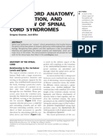 Spinal Cord Anatomy, Localization, and Overview of Spinal Cord Syndromes